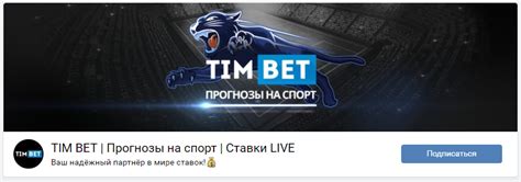 tim bet casino